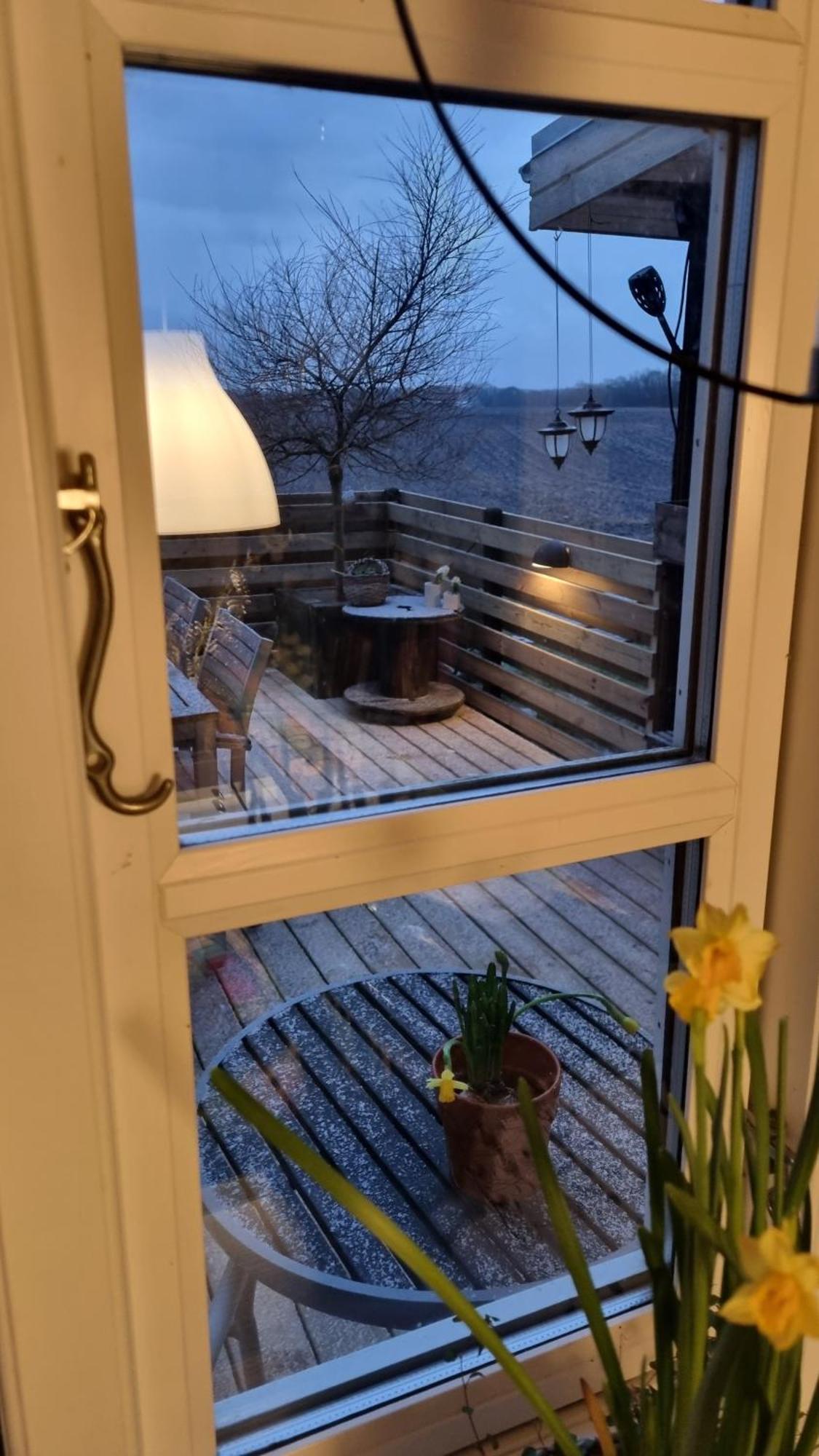 Marsvinslund Bed And Breakfast Выборг Экстерьер фото