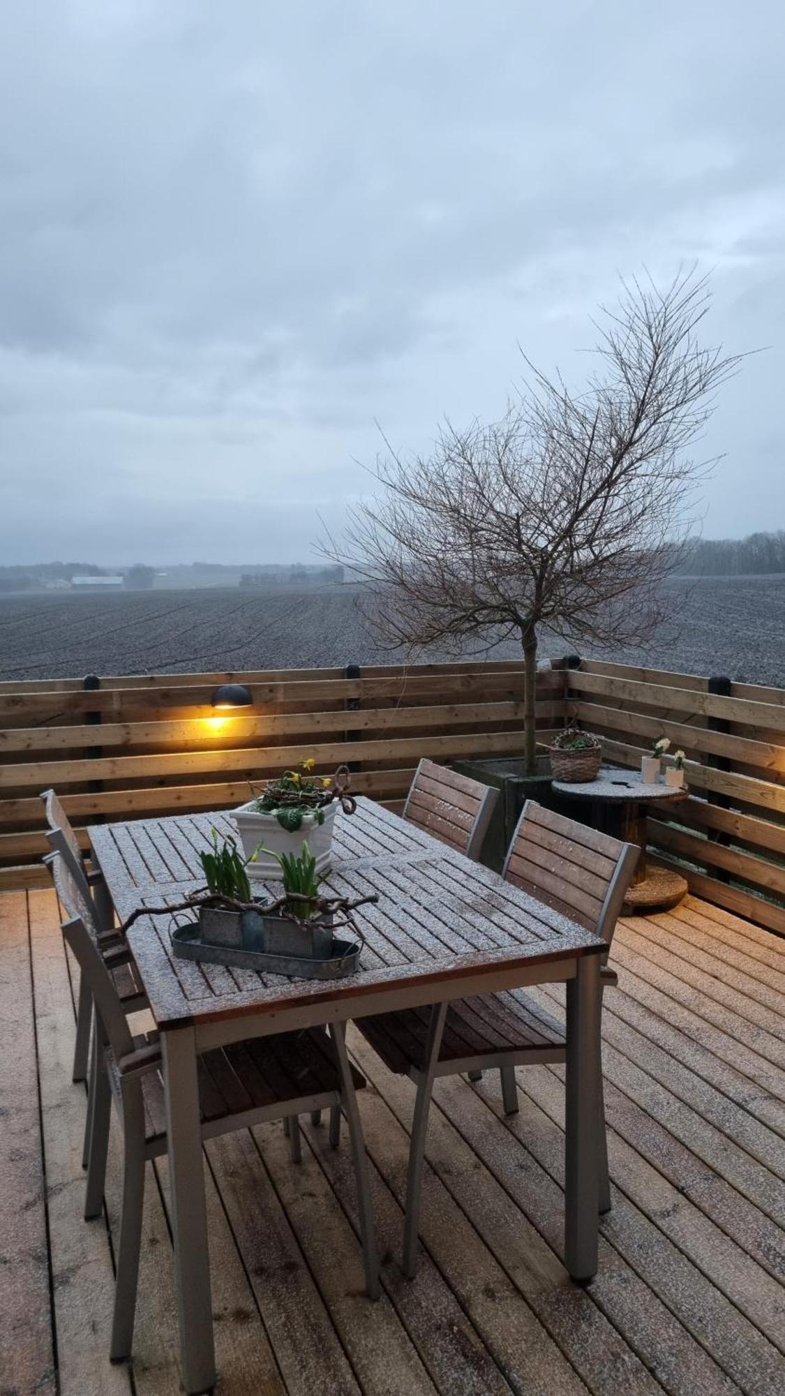 Marsvinslund Bed And Breakfast Выборг Экстерьер фото